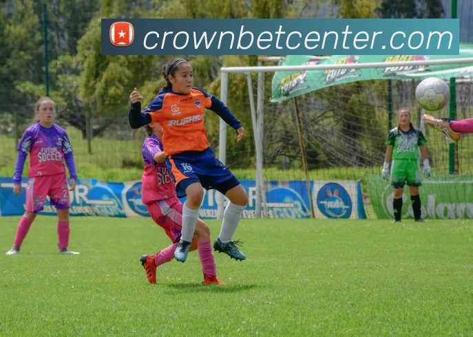 App Interface Preview